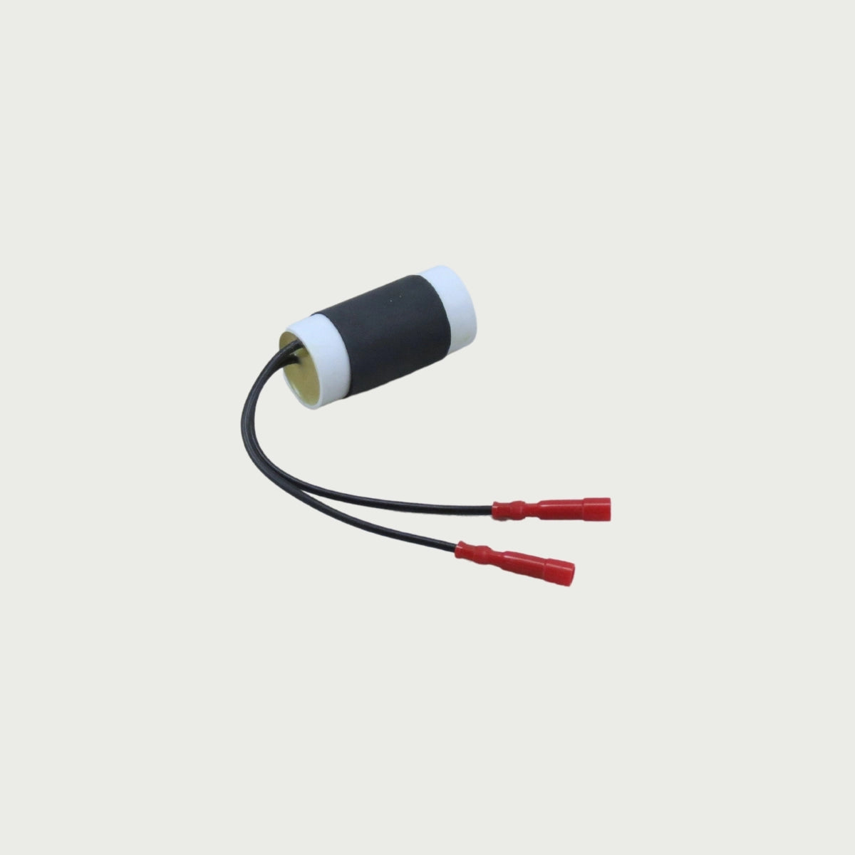 CAPACITOR